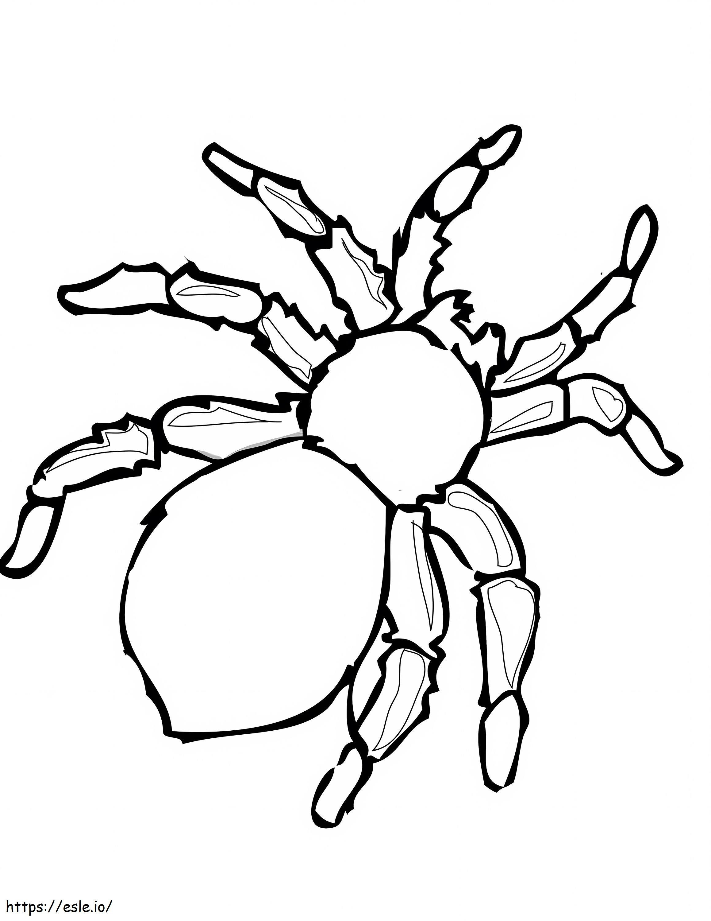 Yksinkertainen hämähäkki värityskuva