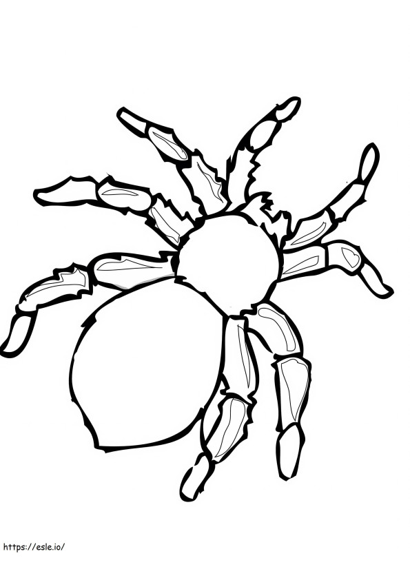 Yksinkertainen hämähäkki värityskuva