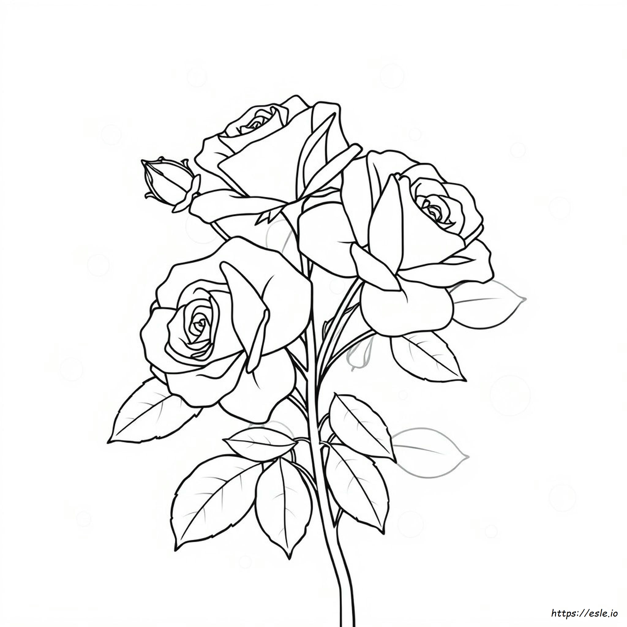 Rose Colouring In Pictures