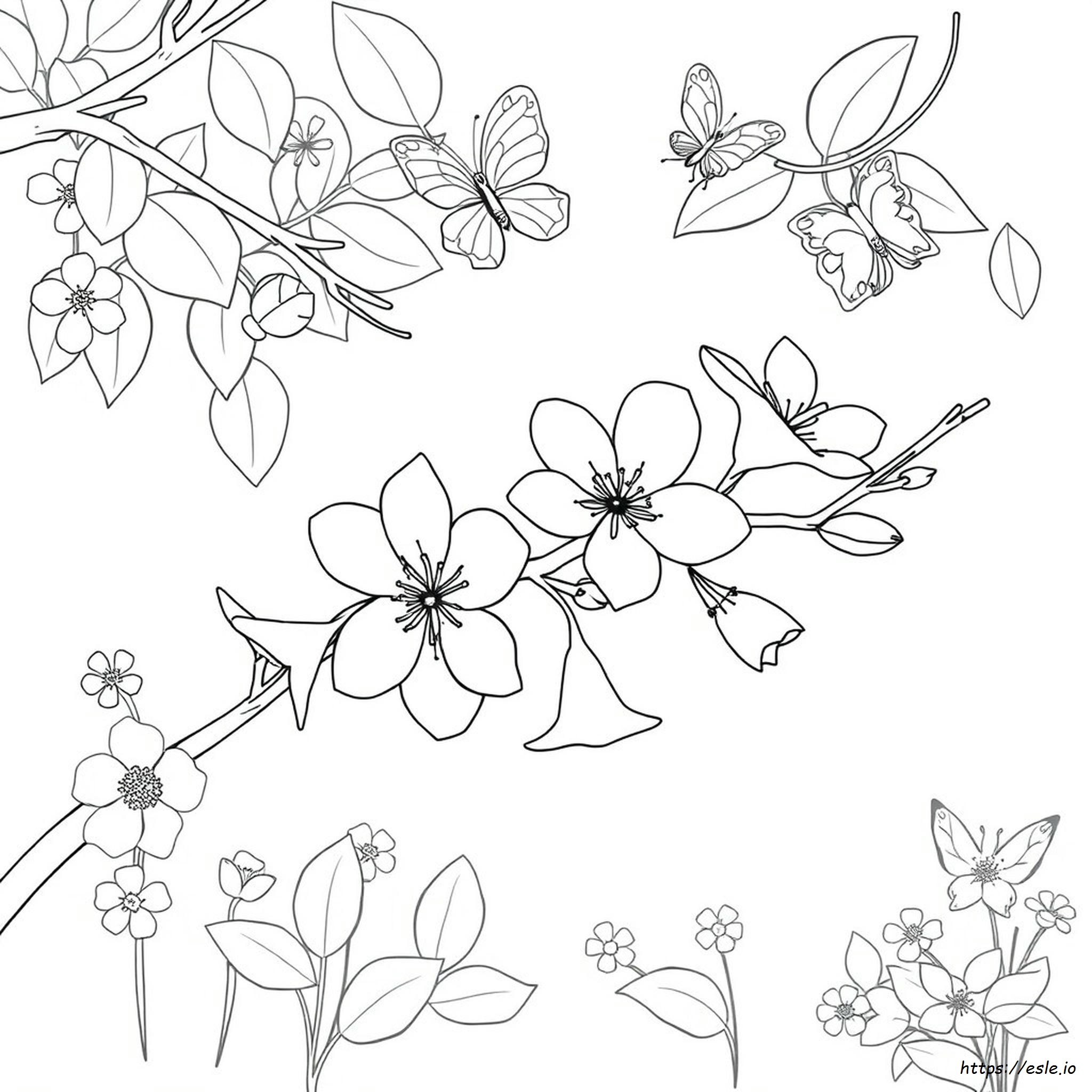 Spring Pictures Coloring Pages