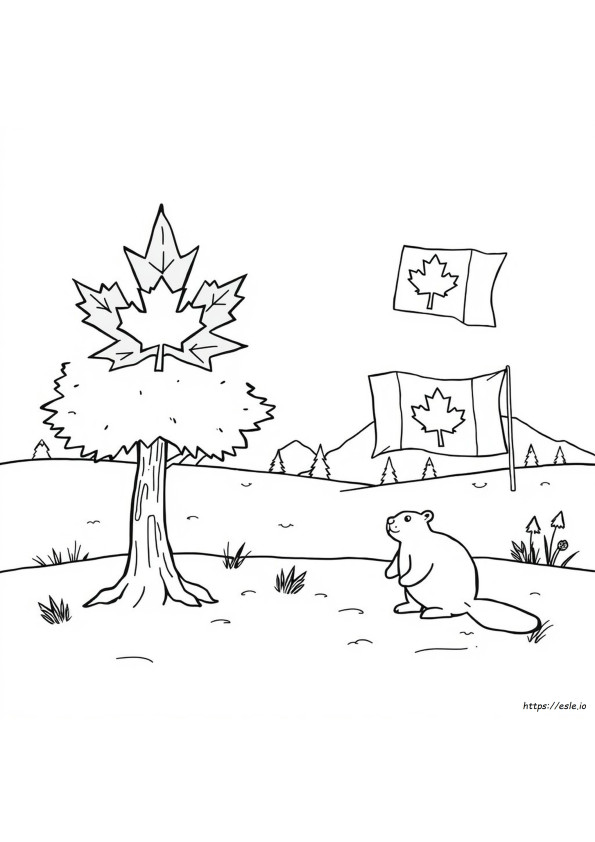 Pagini De Colorat Canadiene