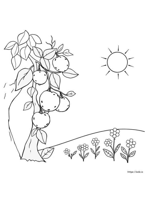 Fruit Preschool Coloring Pages Pdf
