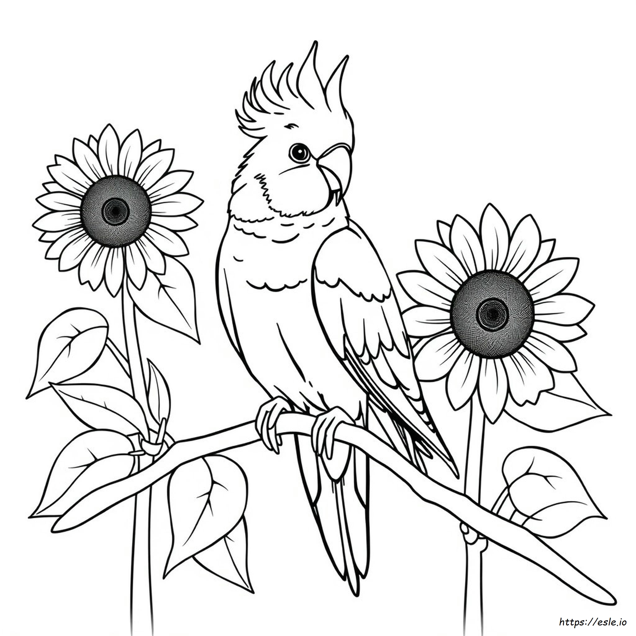 Cacatúa Ninfa Páginas Para Colorear
