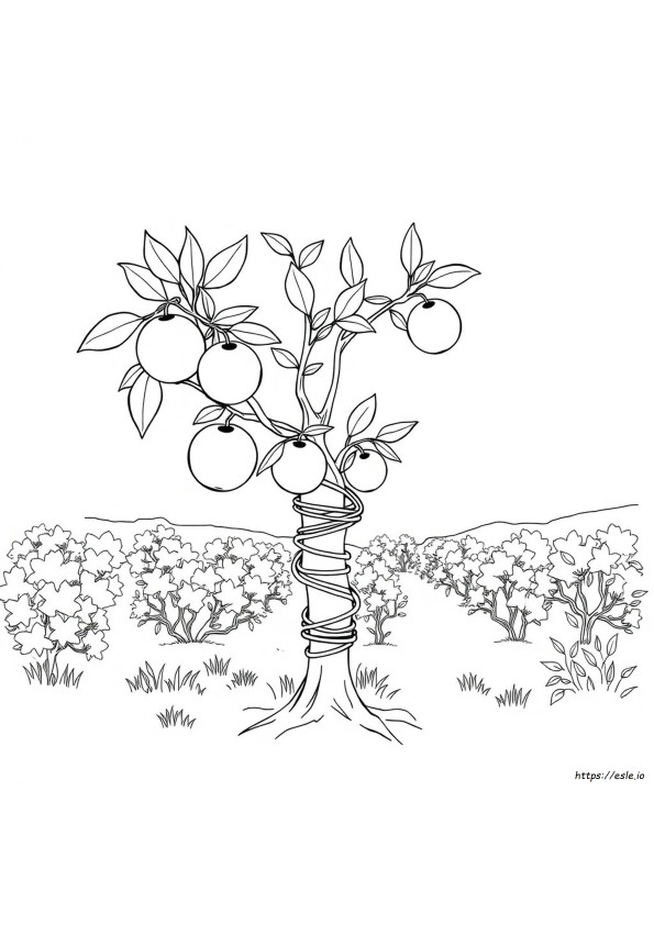 Coloriage Un Fil Orange Signifie Qu'il Est