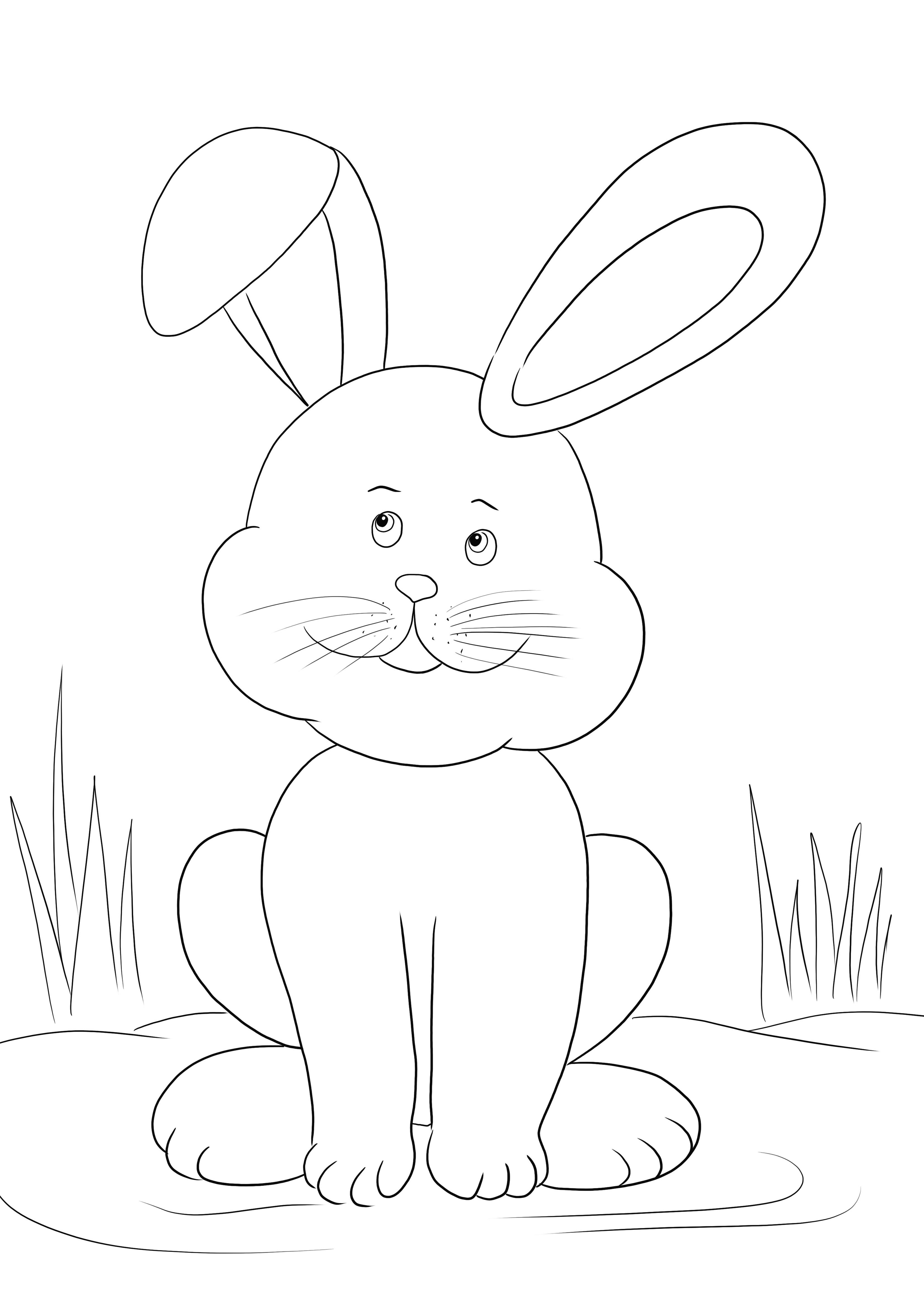 We offer our Easter Bunny coloring image for free printing or downloading