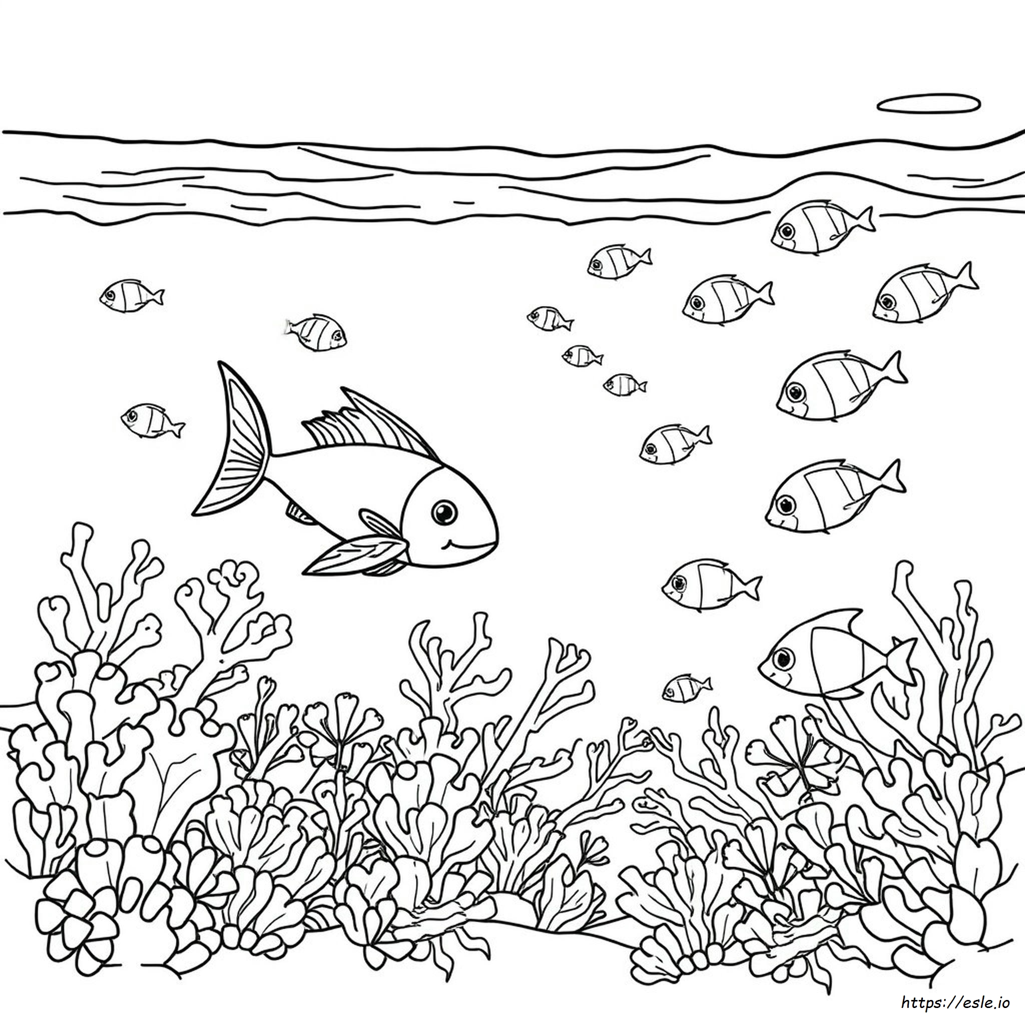 Creaturi Marine De Colorat