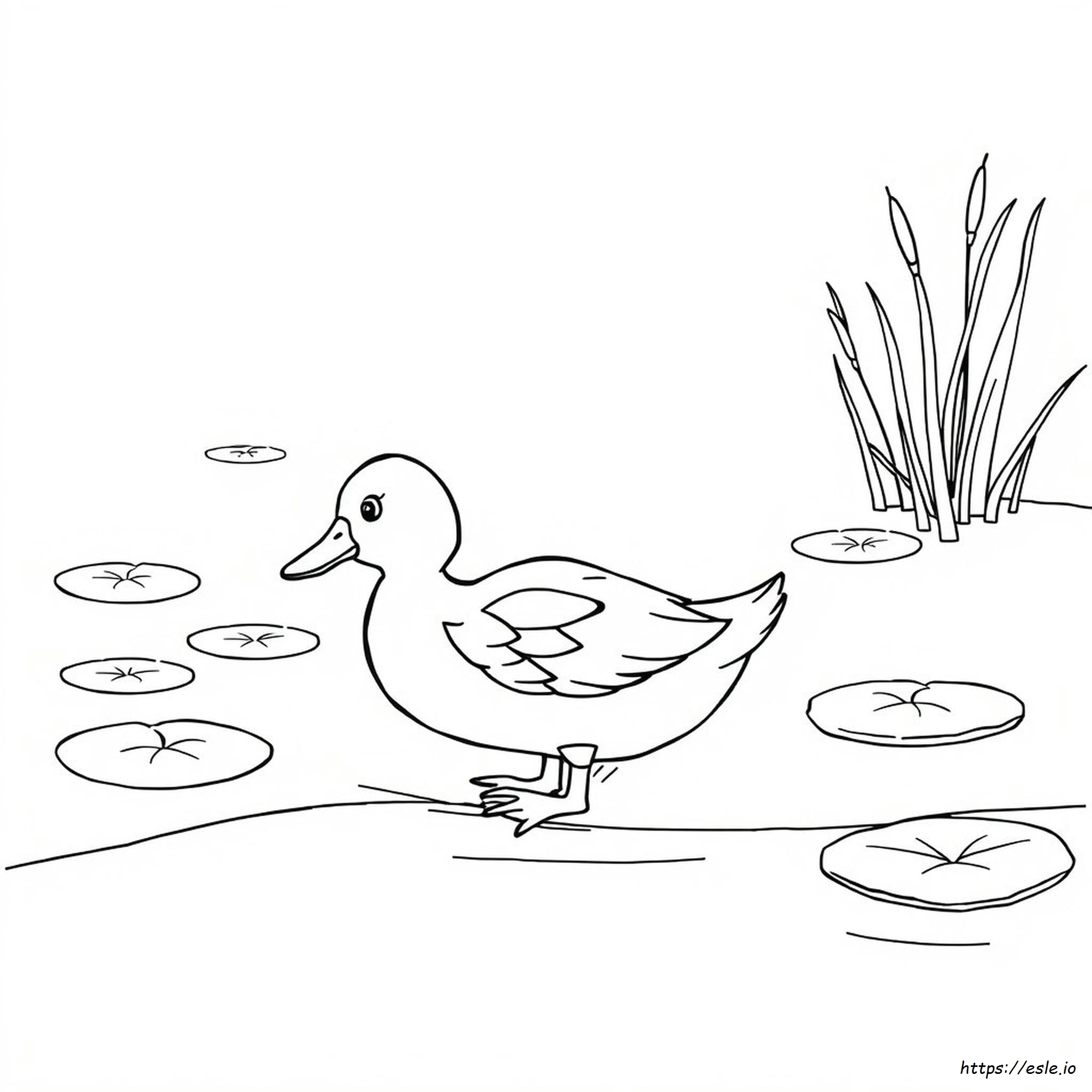 De Qué Color Debe Ser El Pato Para Colorear