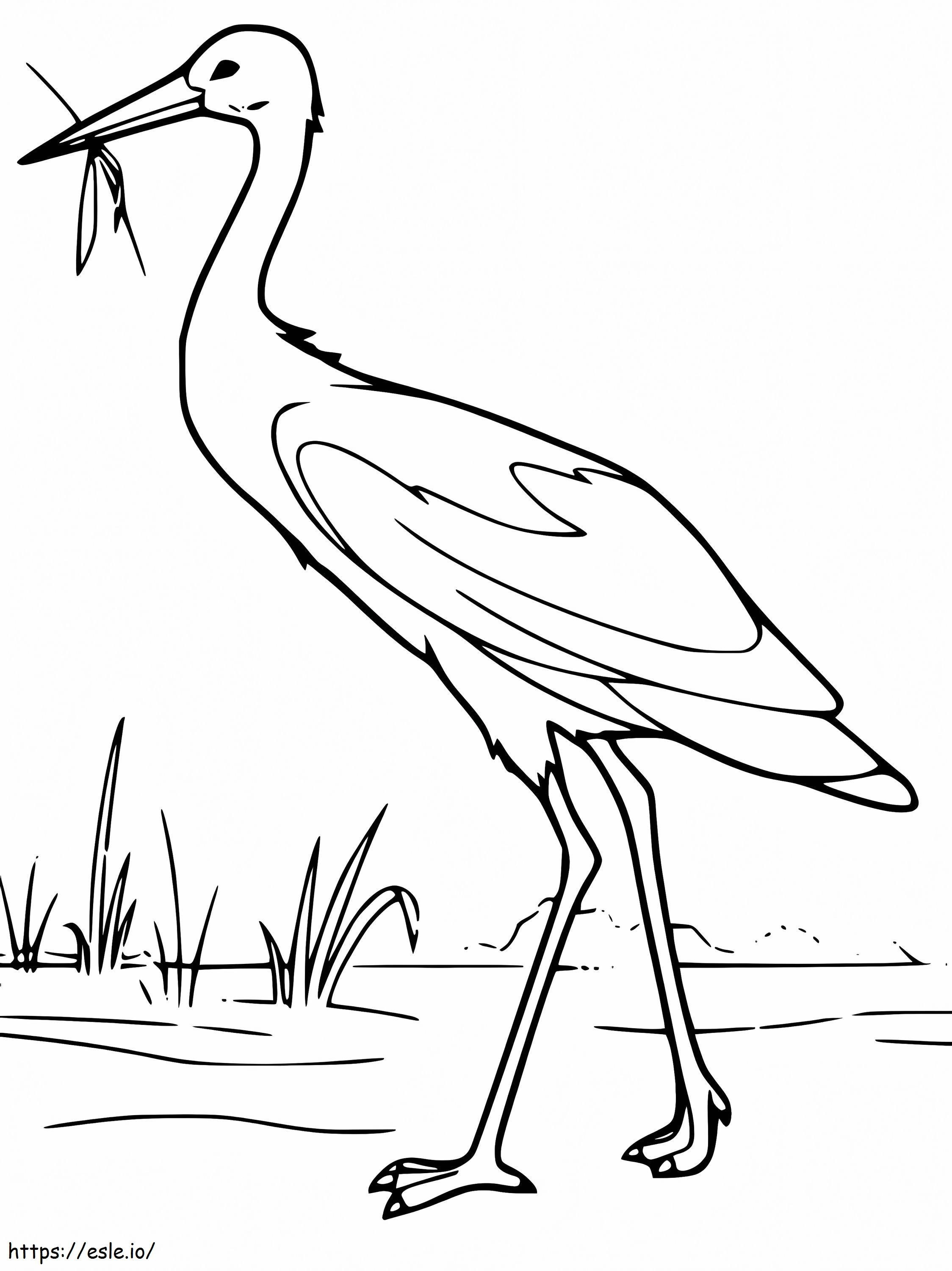 Free Printable Heron coloring page