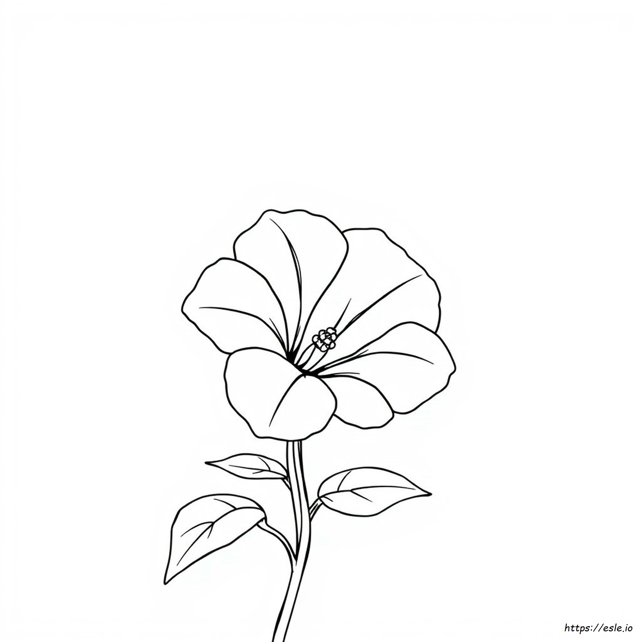 Pagene Da Colorare Di Petunia