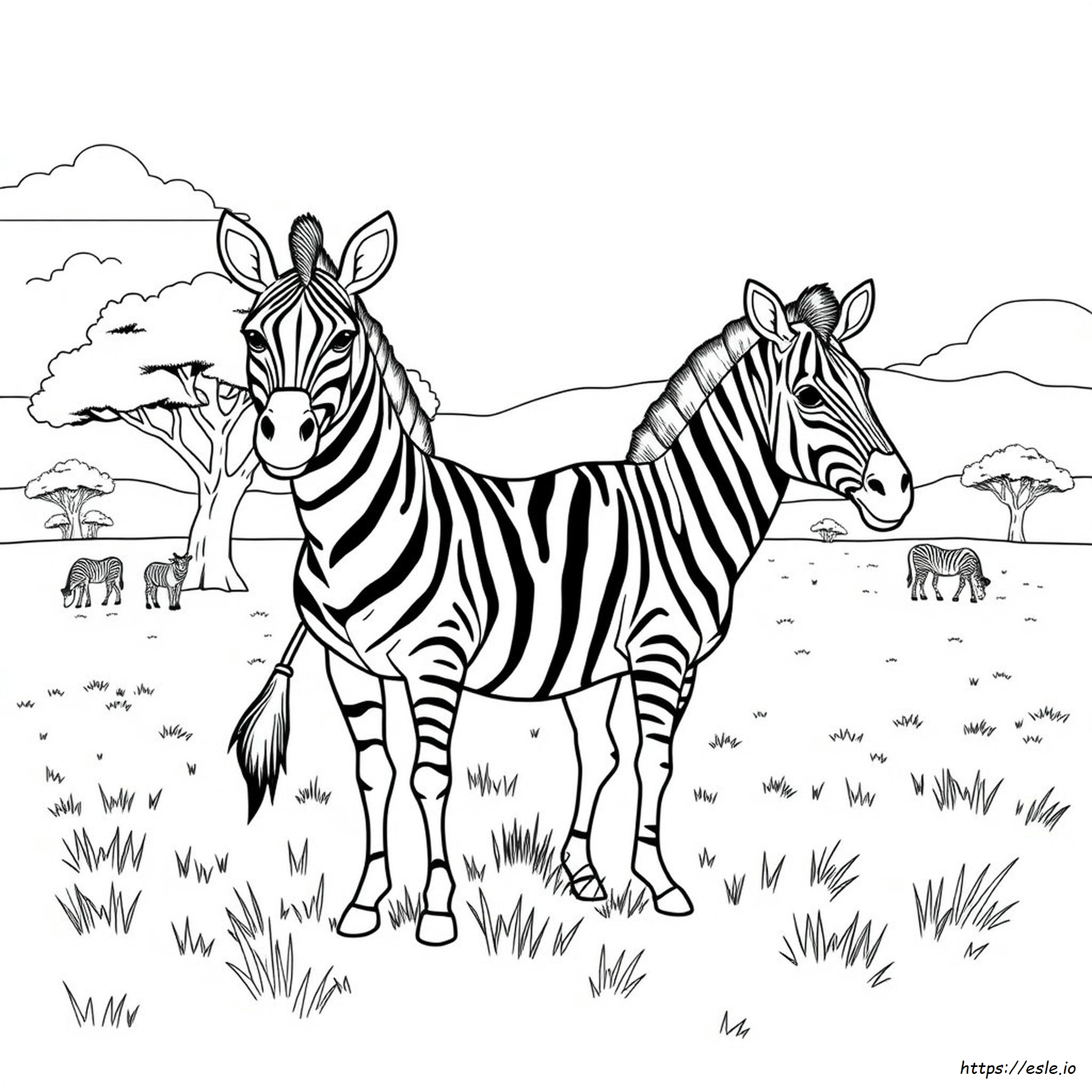 Free Coloring Pages Zebra
