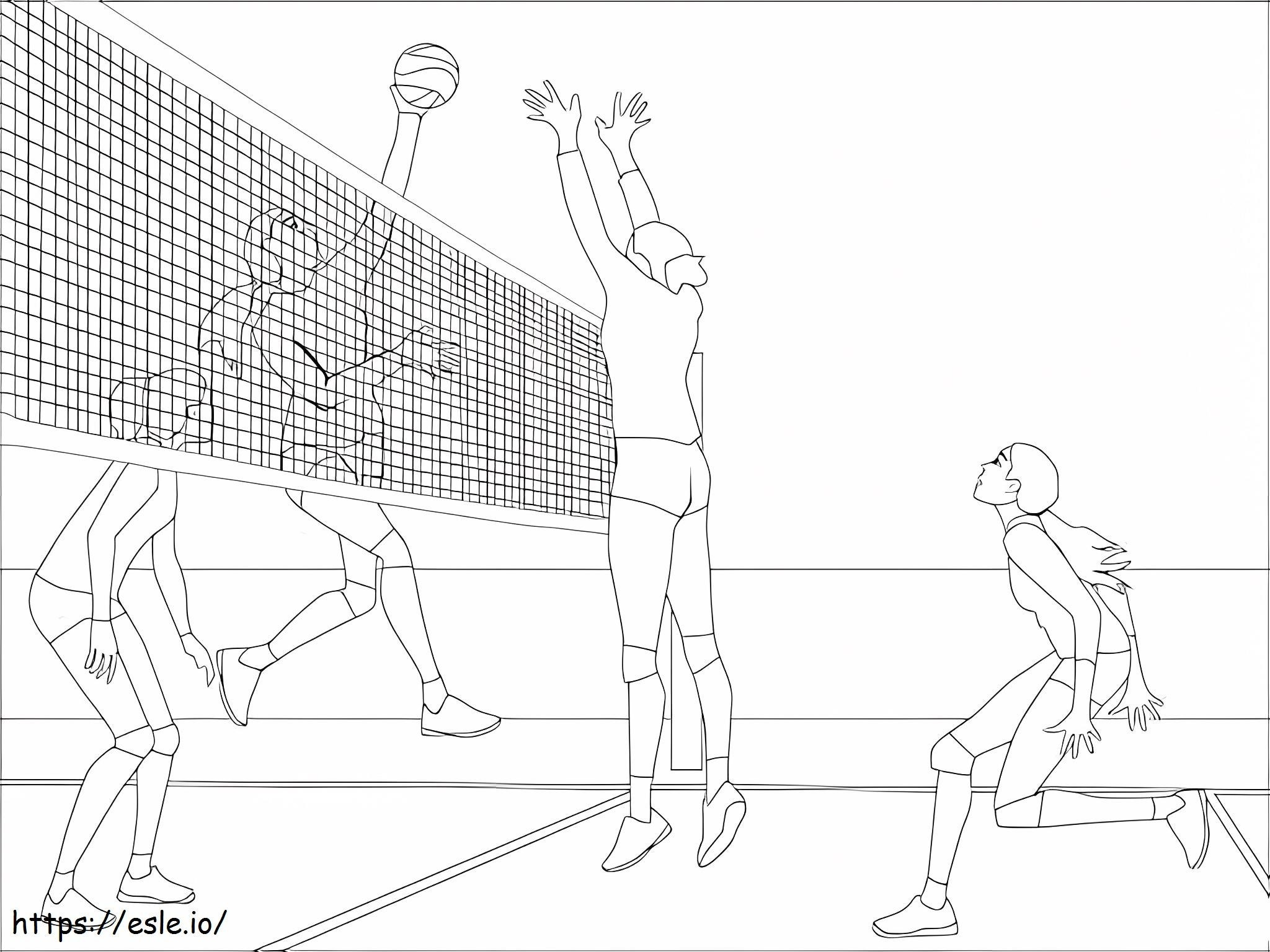 Volleyball Tournament coloring page