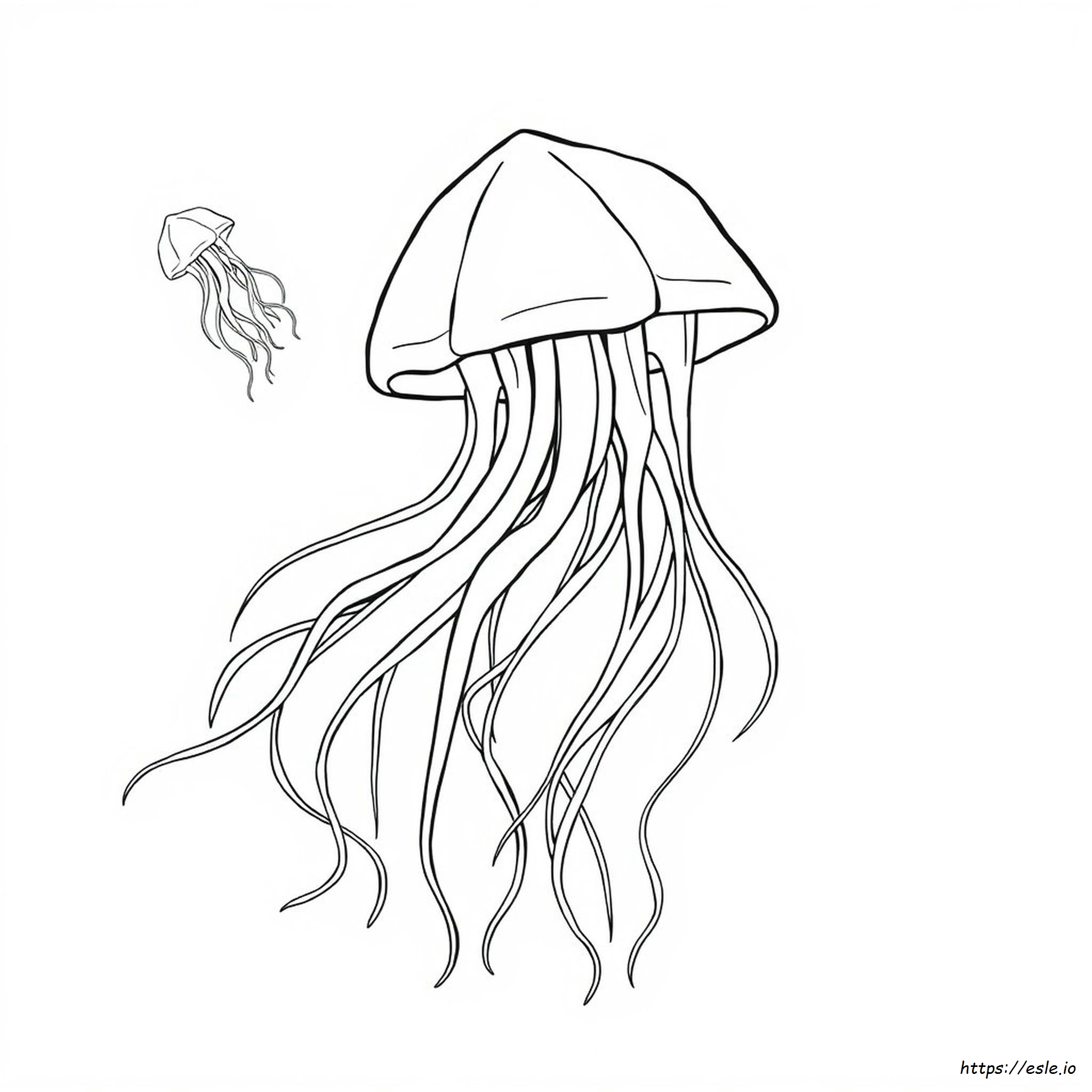 Detailed Jellyfish Coloring Page
