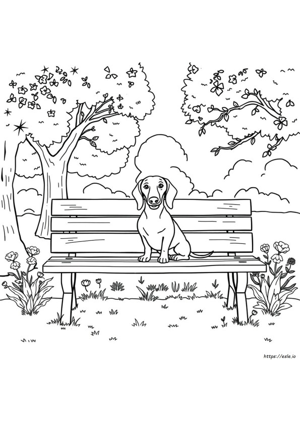 Coloriages Teckel