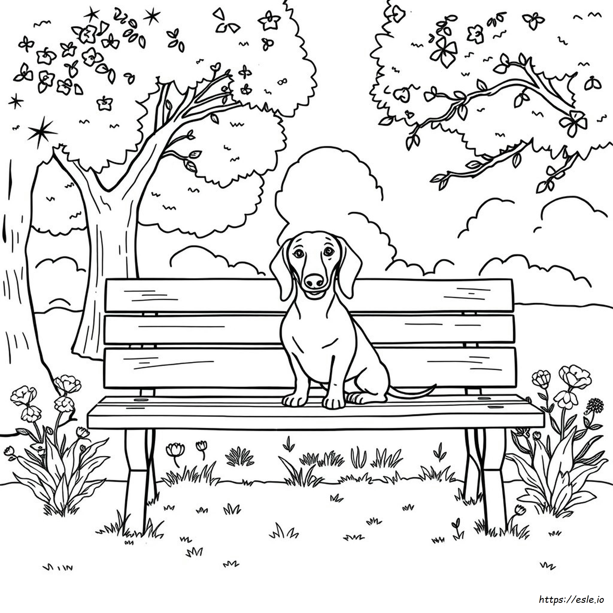 Dachshund Coloring Pages