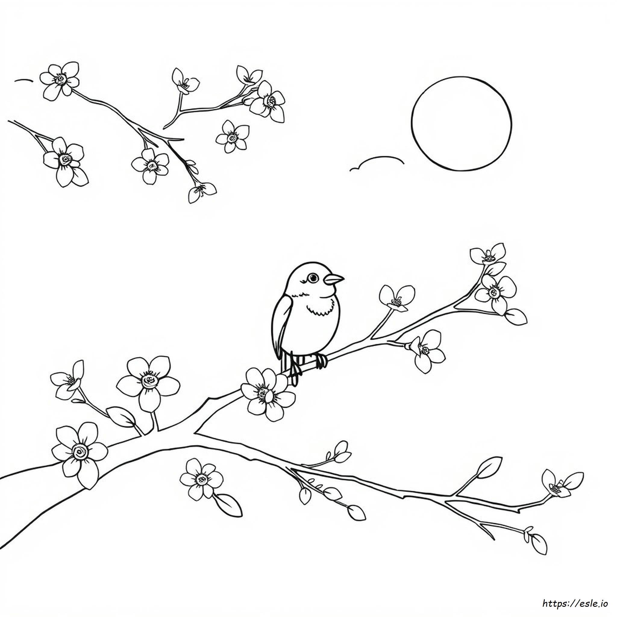 Bird Coloring Pages To Print