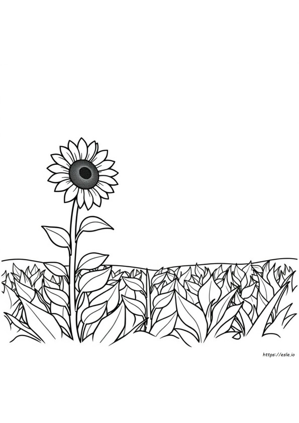 Simple Coloring Book Pictures