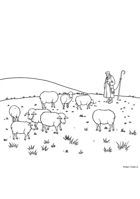 Herders Kleurplaat