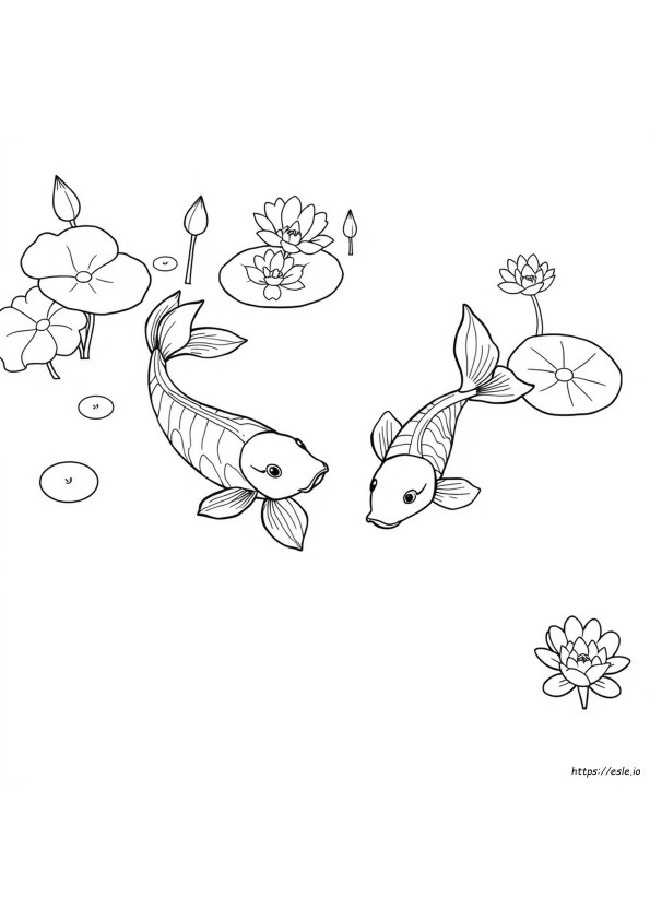 Koi Colouring