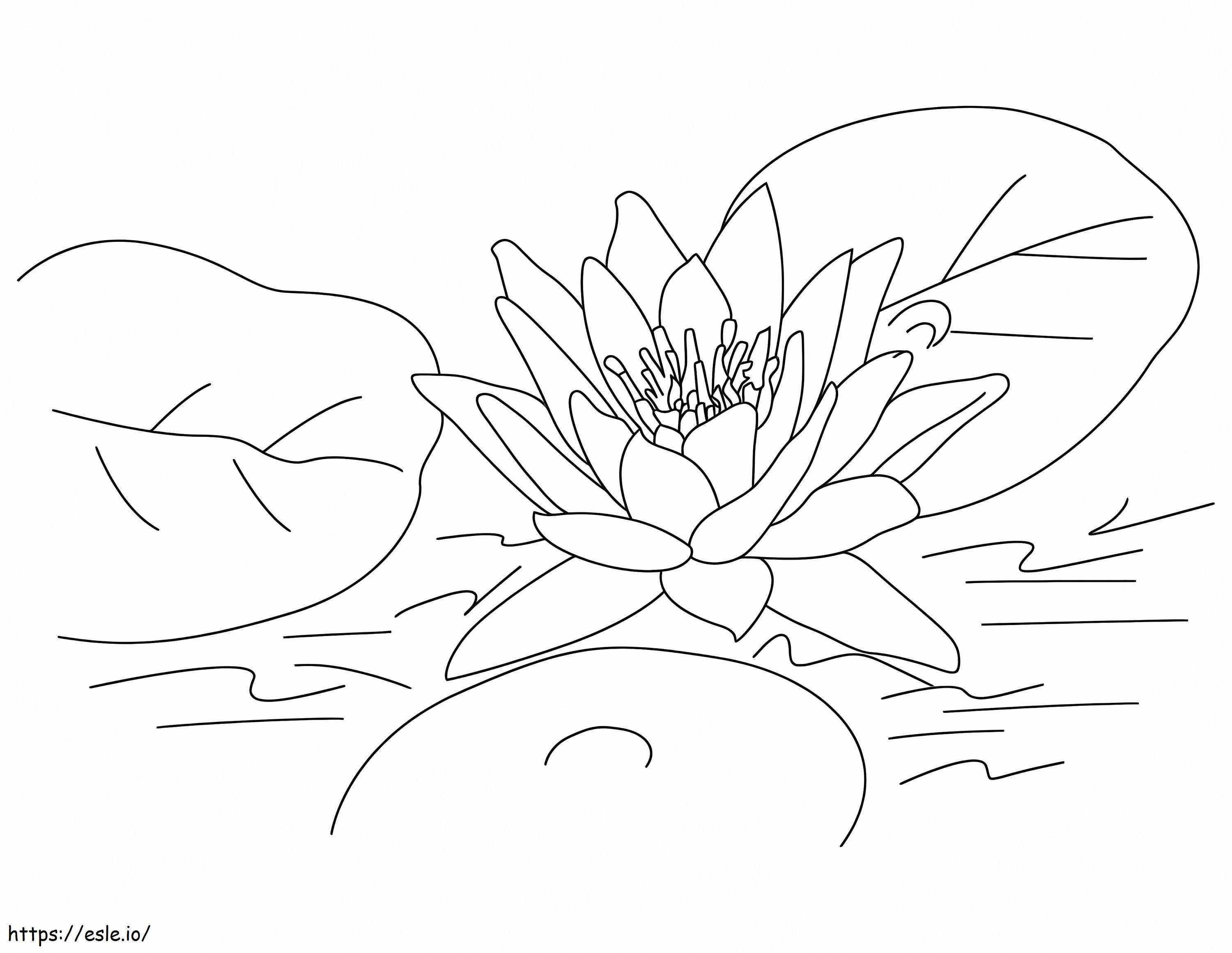 Lotus With Leaf coloring page