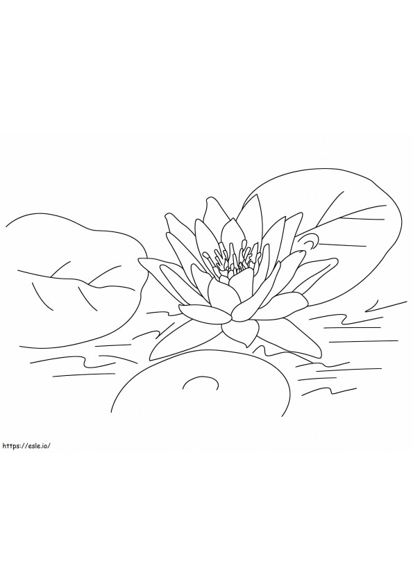 Lotus With Leaf coloring page