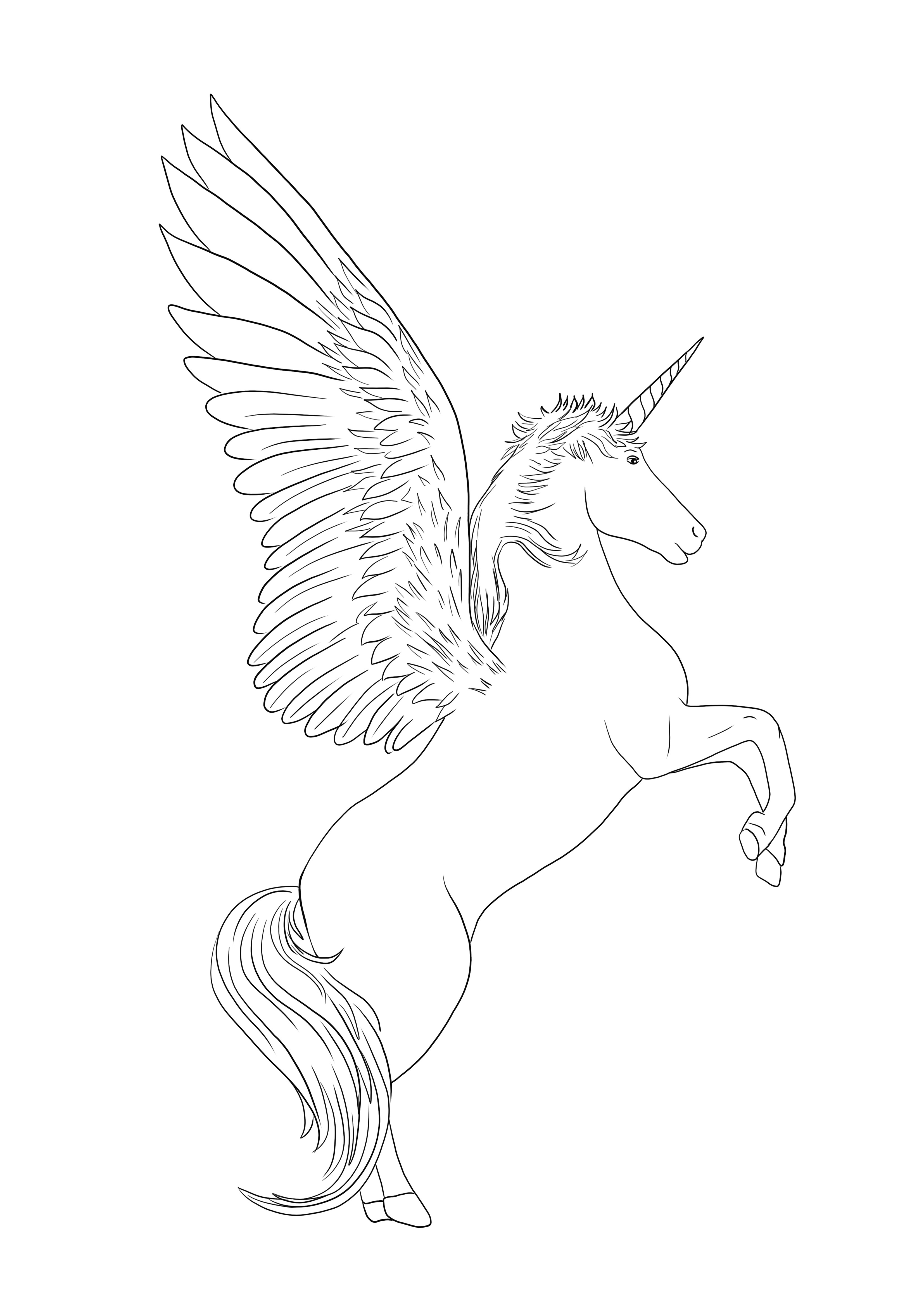 Unicorn with wings coloring and downloading free for kids
