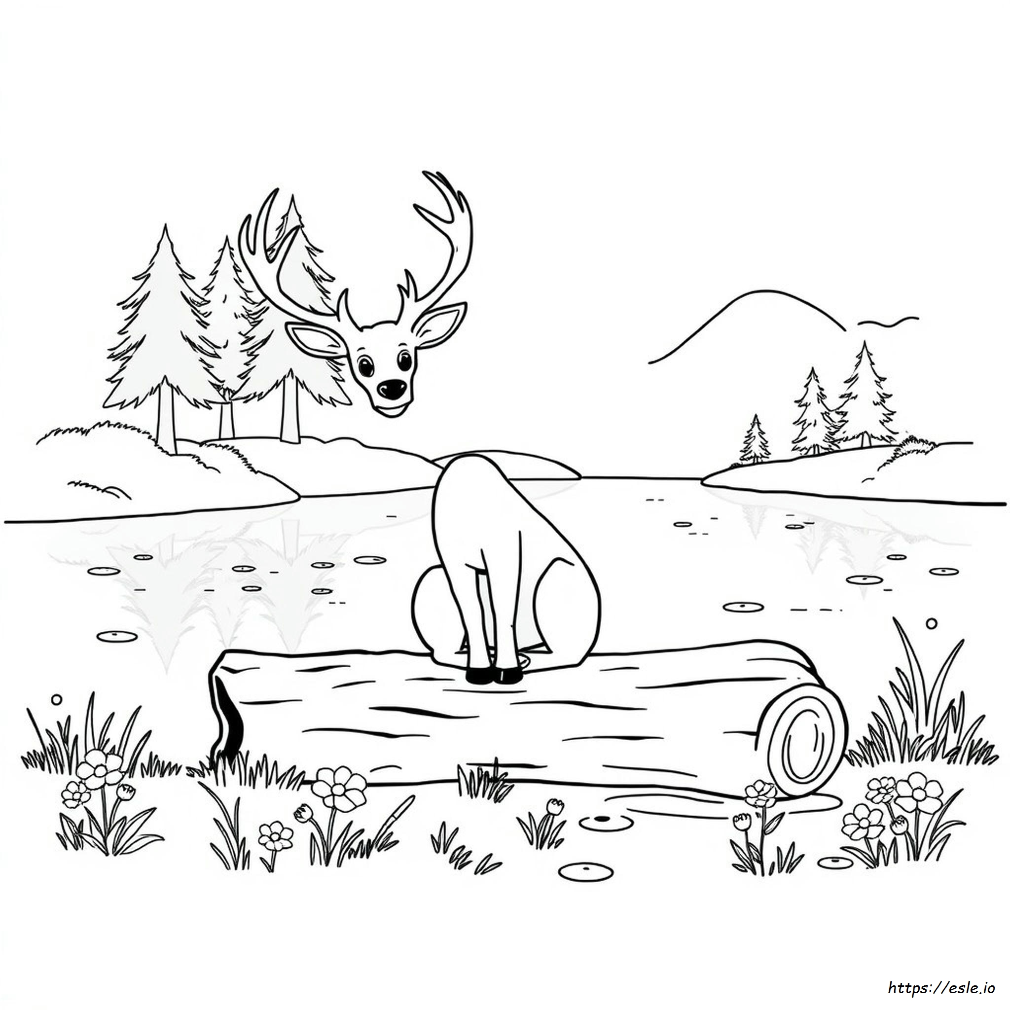 Buck Coloring Pictures