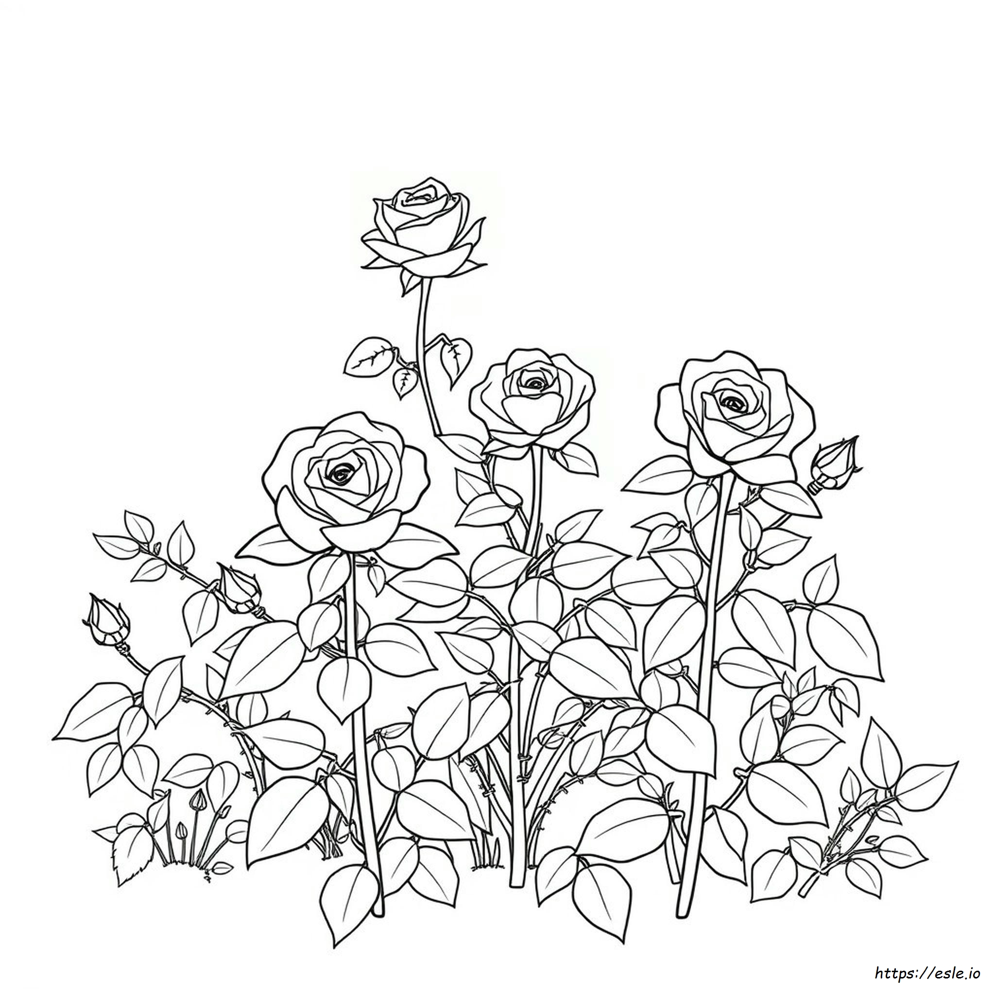 Rose Bush Coloring Page