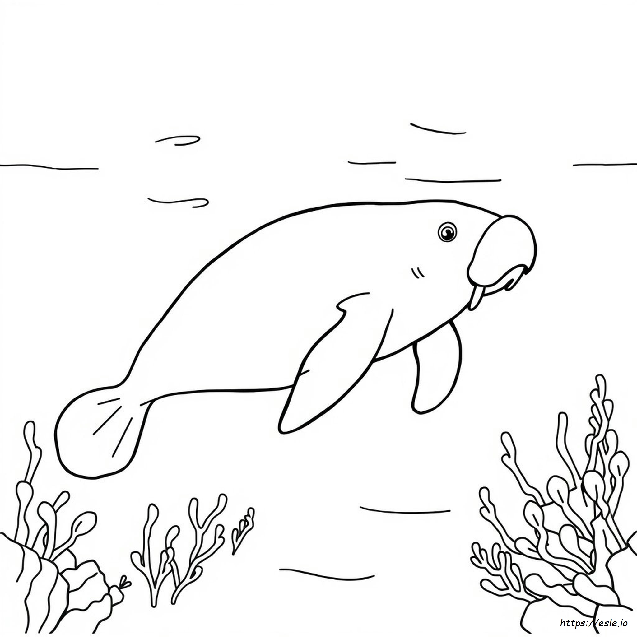 Free Manatee Coloring Pages