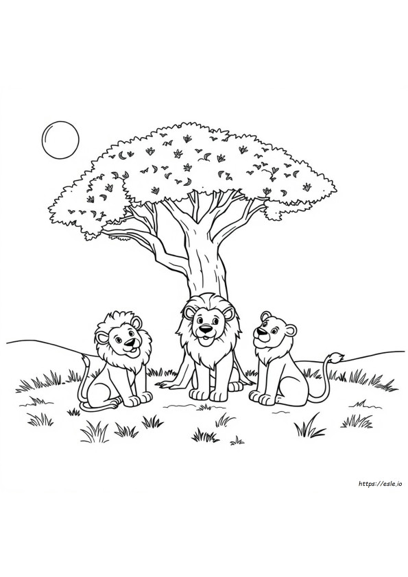 Packers Coloring Book