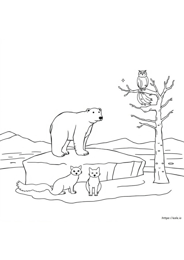 Animais Do Ártico Para Colorir