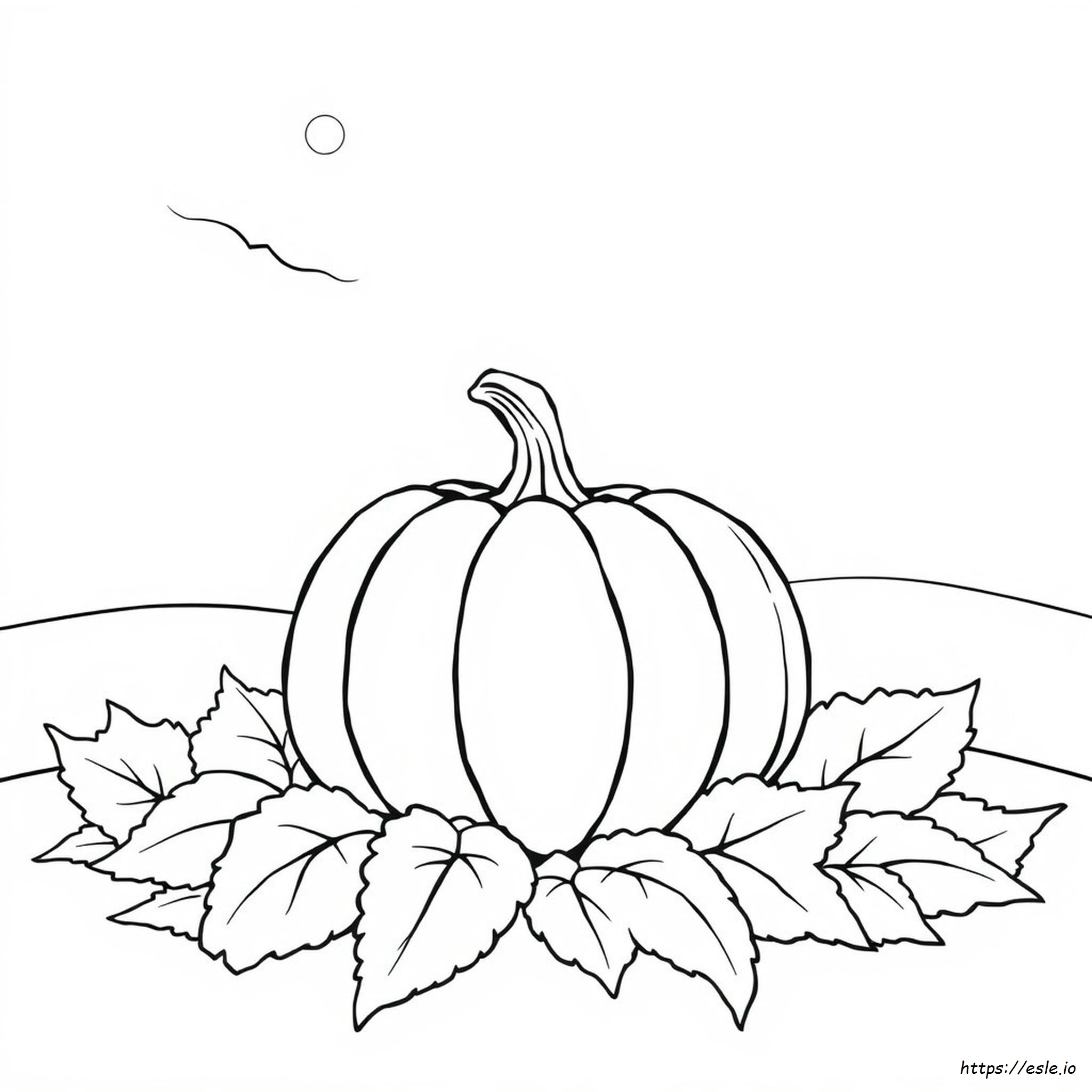 Pumpkin Colouring Pages Free