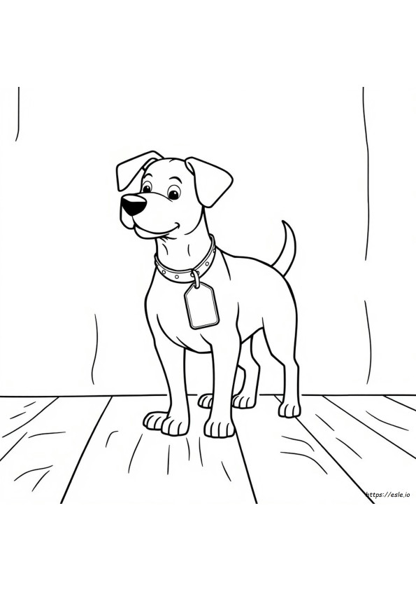 KÖpek Etiketi Boyama Sayfası