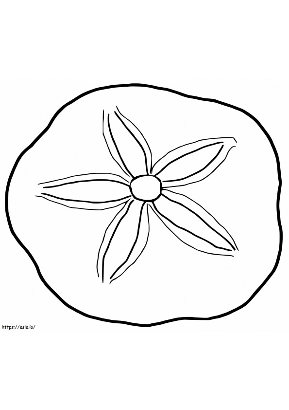 Sand Dollar 6 coloring page