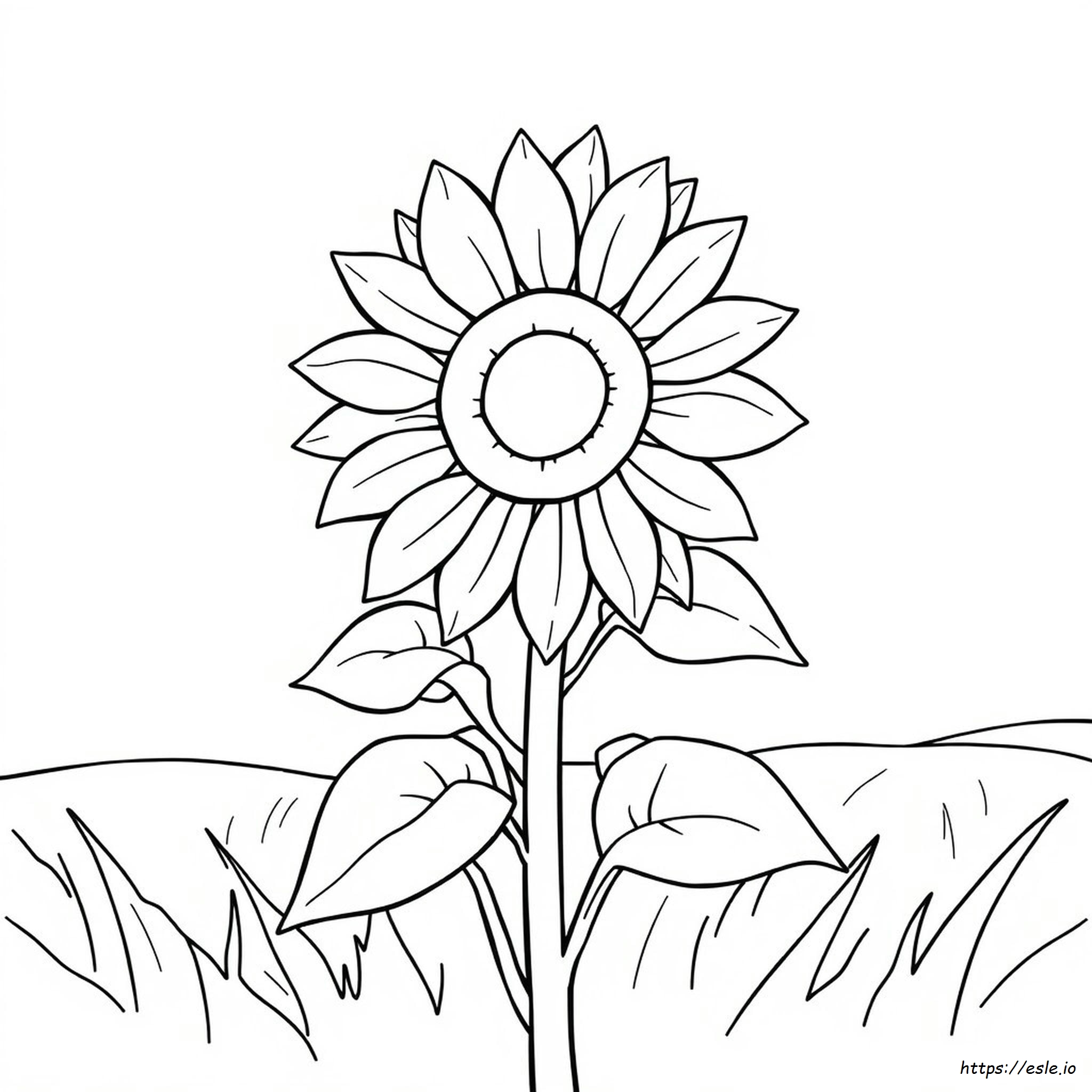 Schema Girasole Da Colorare