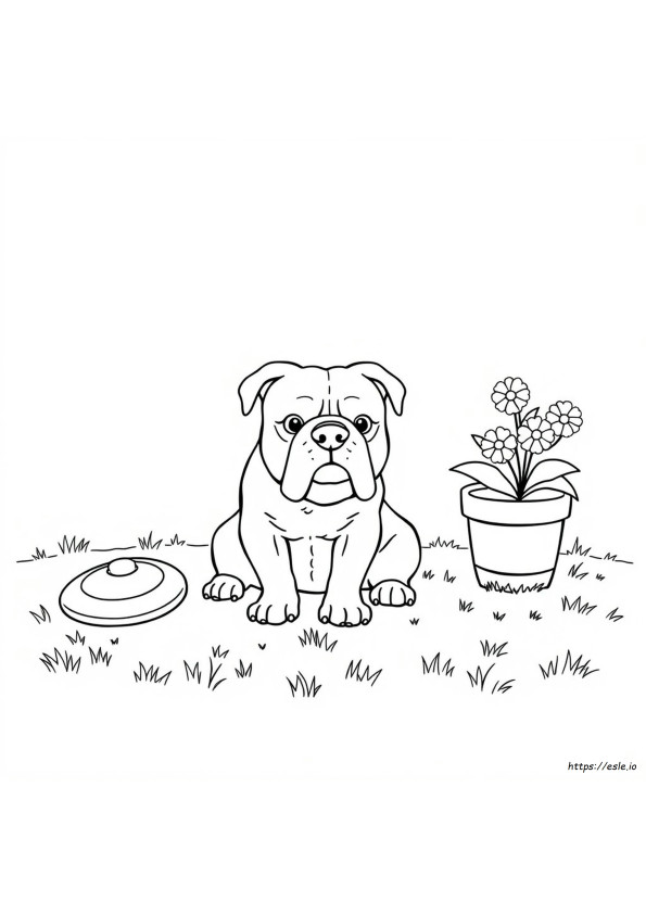 Coloring Pictures Of Bulldogs