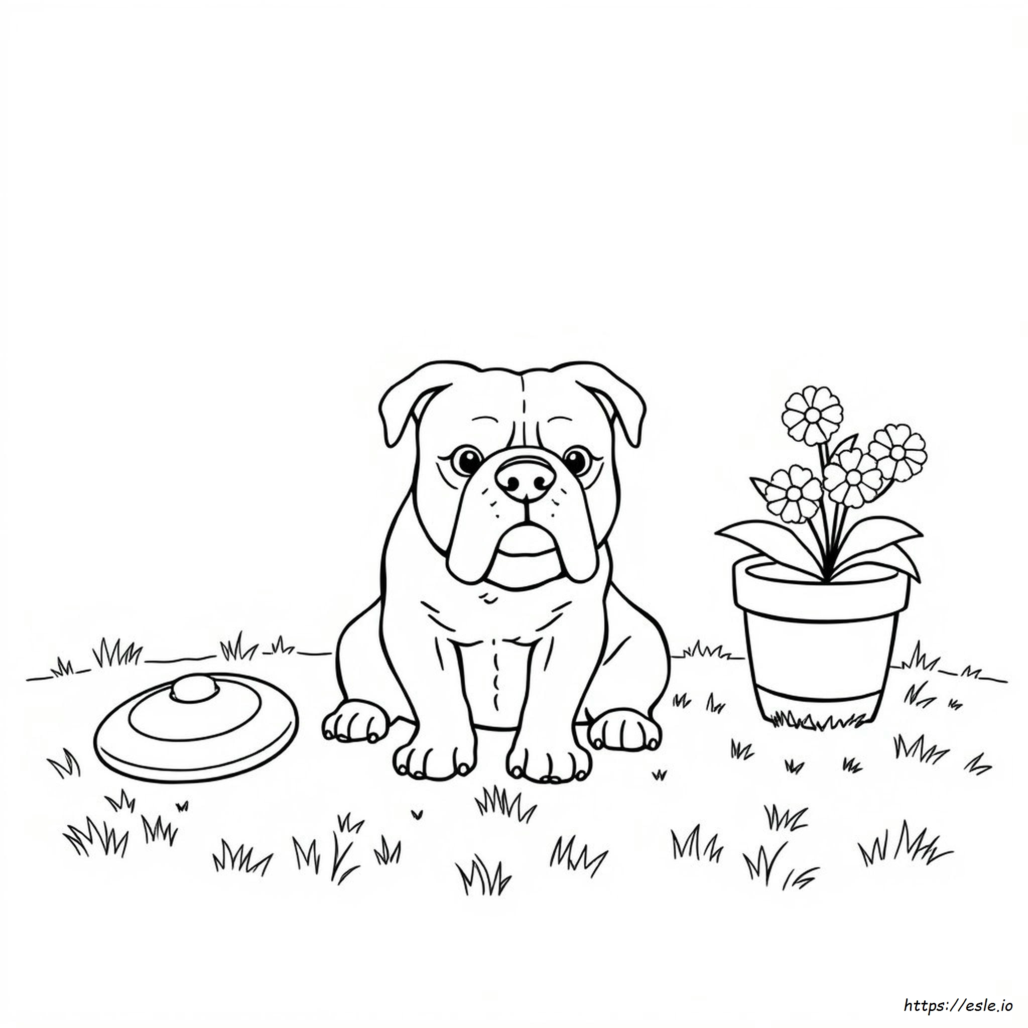 Immagini Di Bulldog Da Colorare