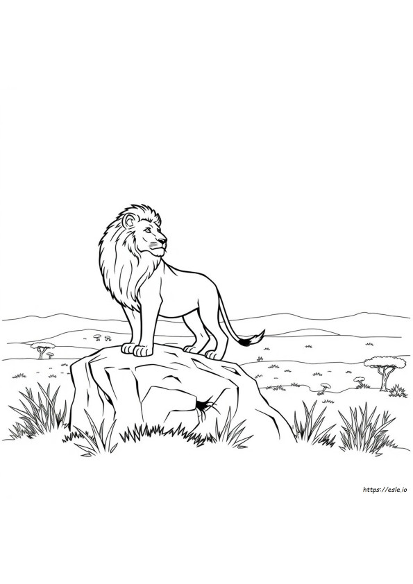 Animali Realistici Da Colorare