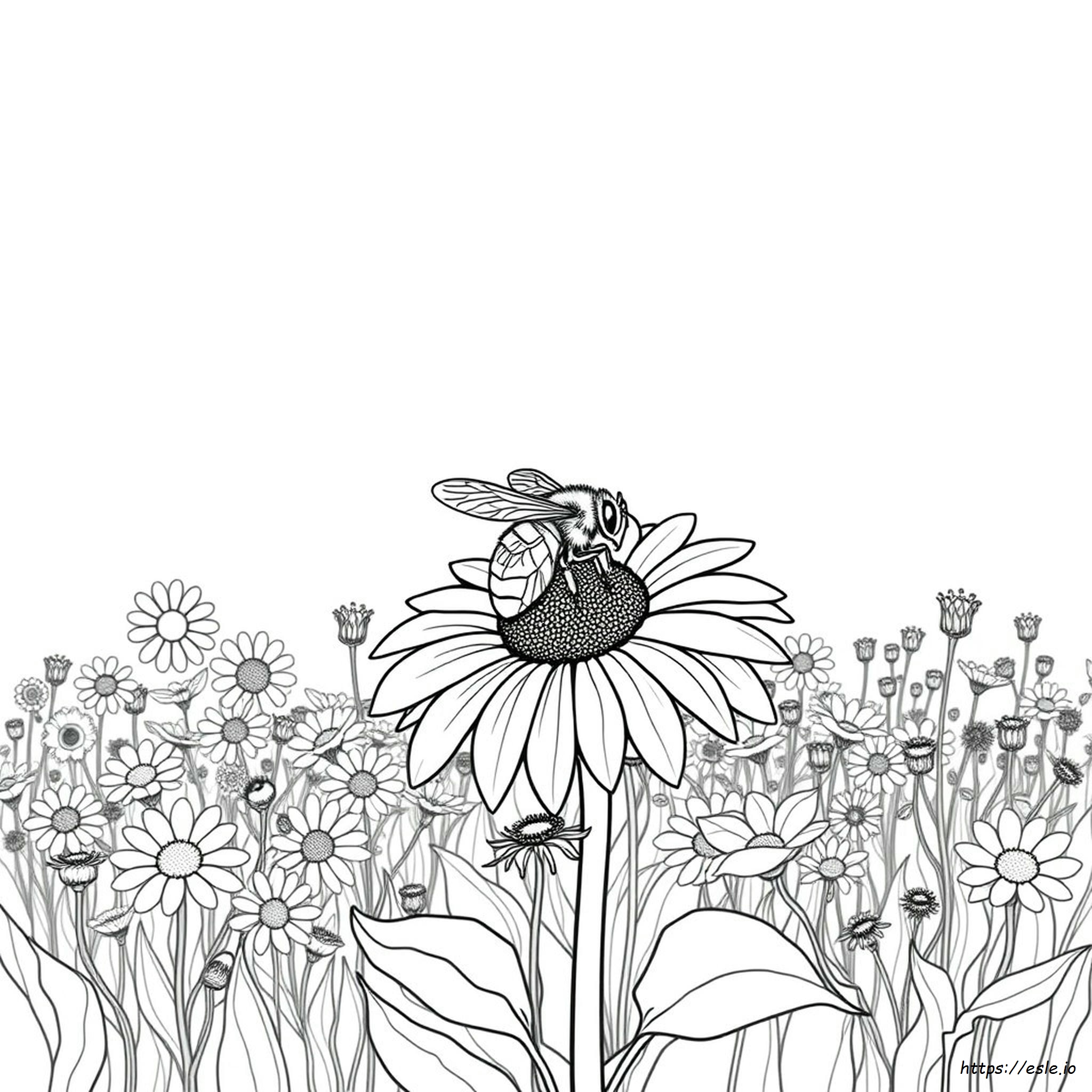 Honest And Fair Coloring Sheet