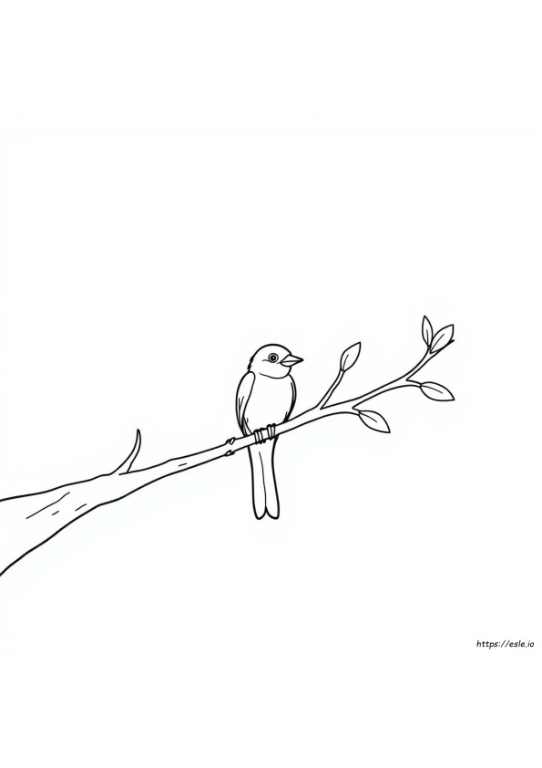 Coloriage Oiseau Sur Une Branche