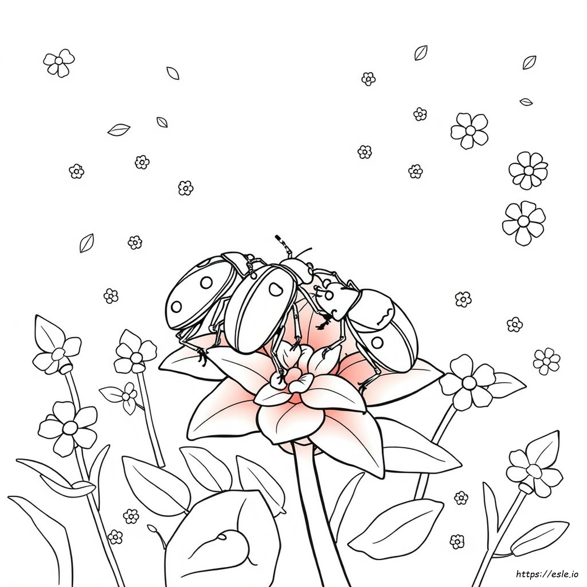 Red Food Coloring Beetles