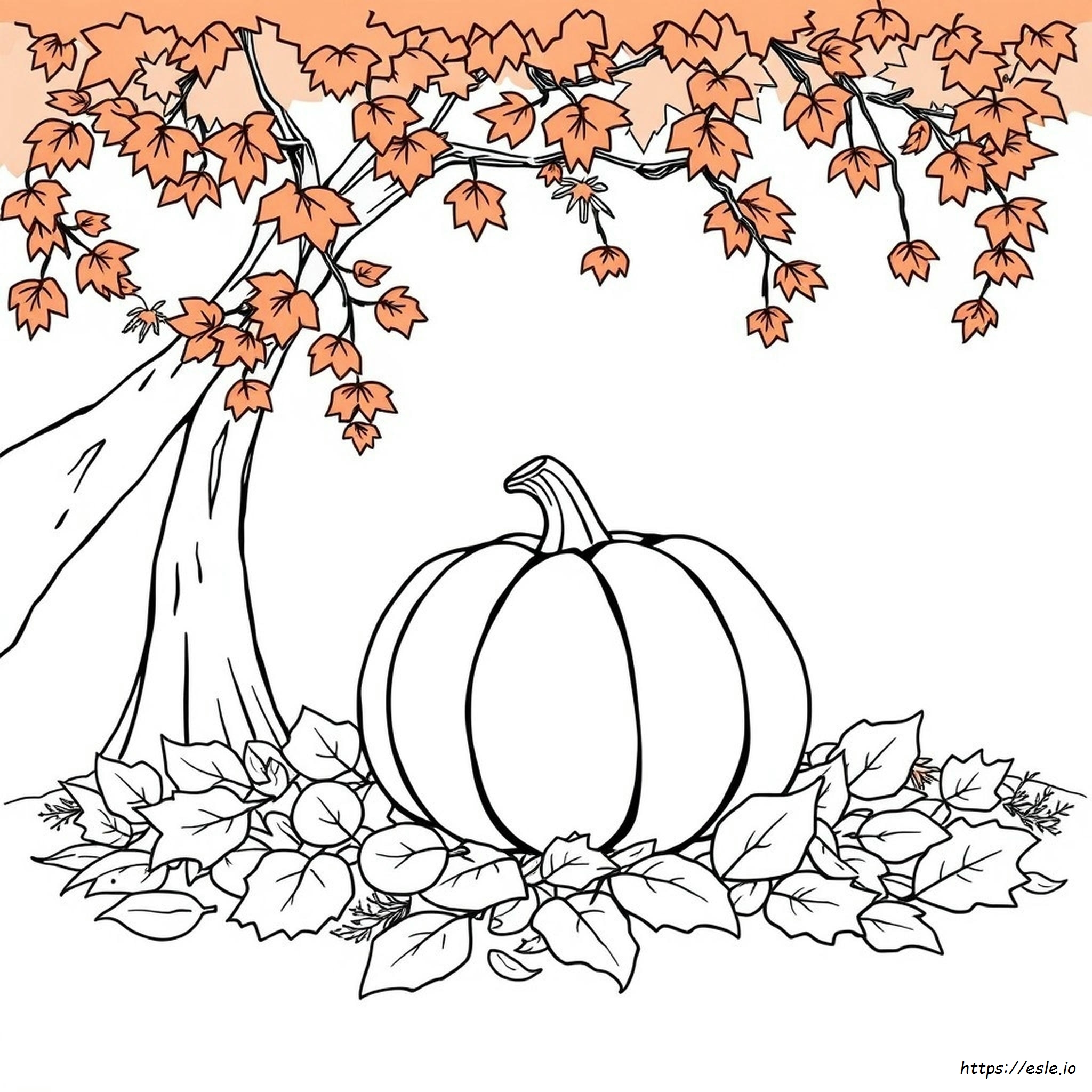 Autumn Pumpkin Coloring Pages