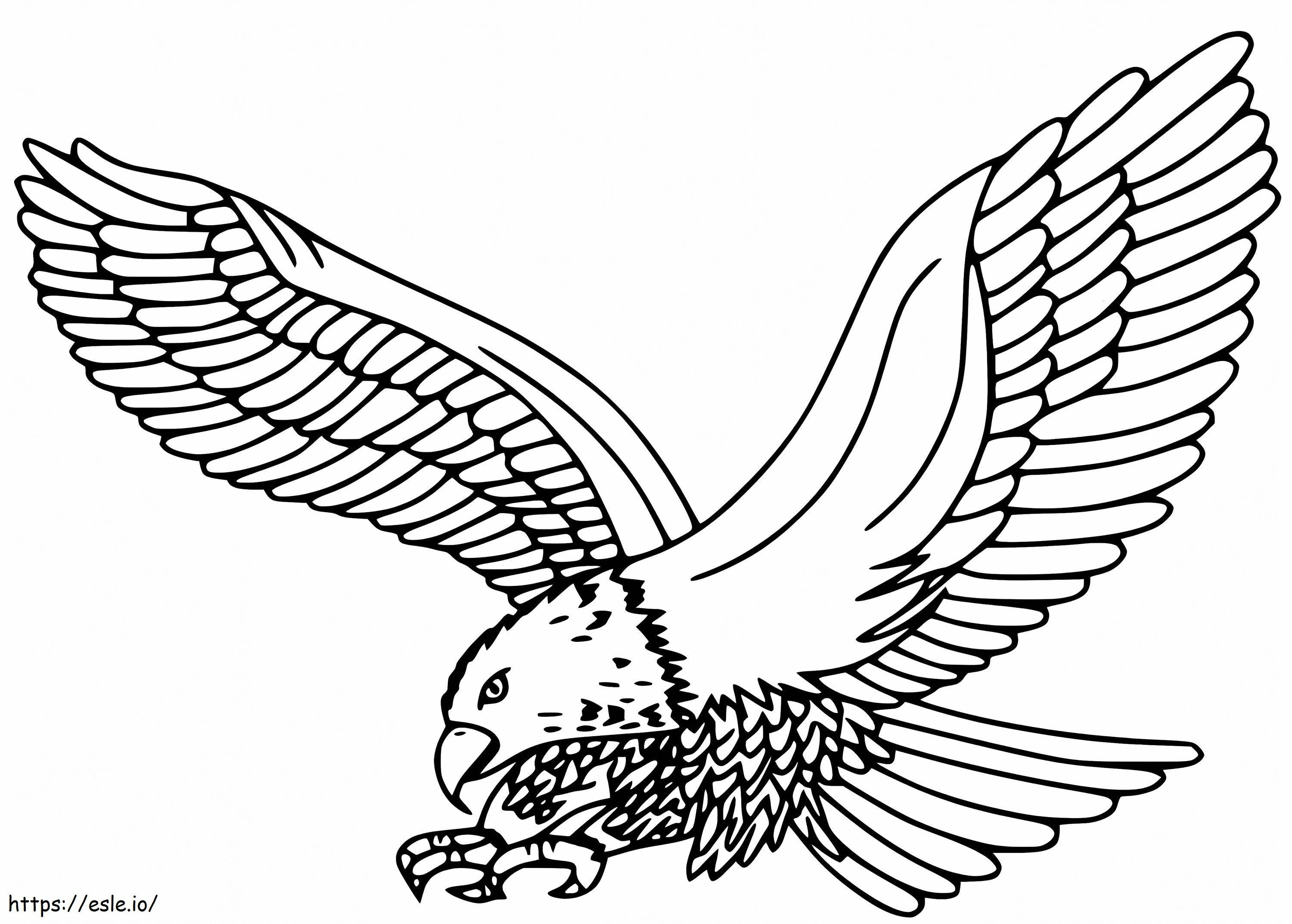 Águila pescadora volando para colorear