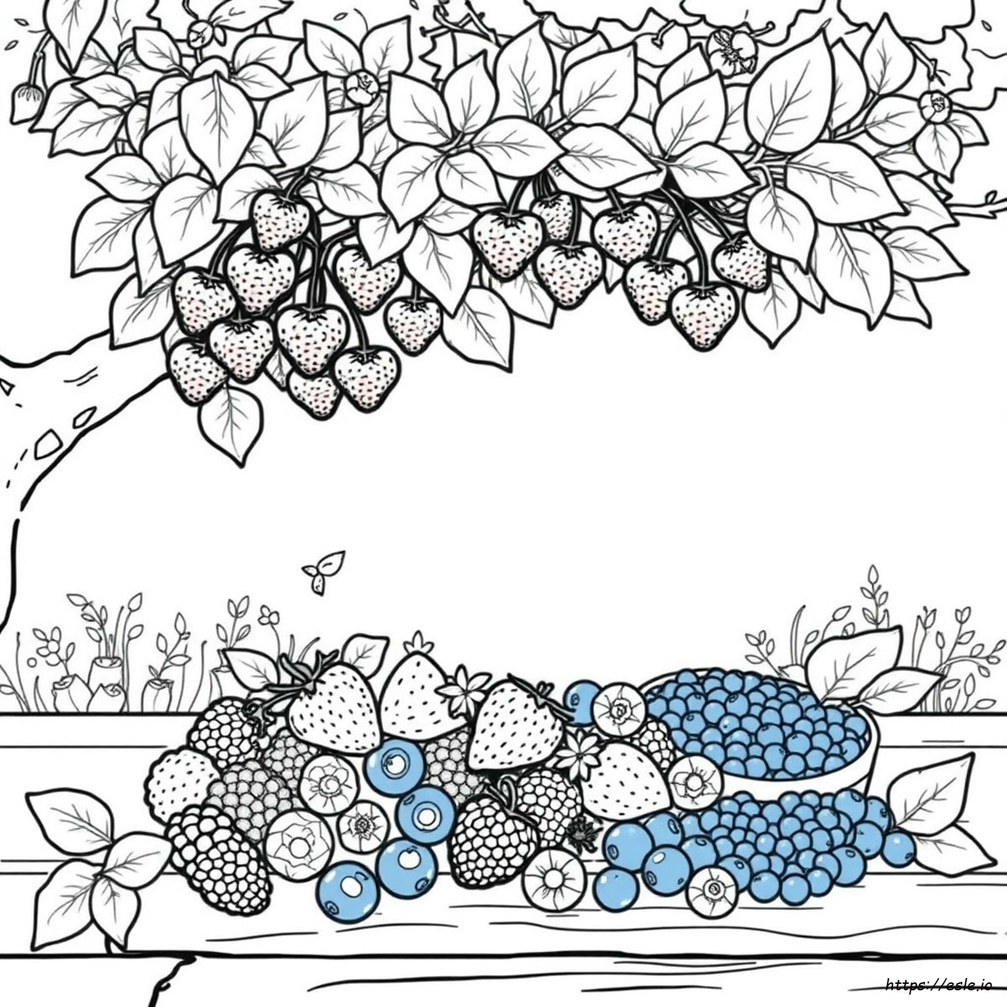 Berrie Coloring Pages Printable