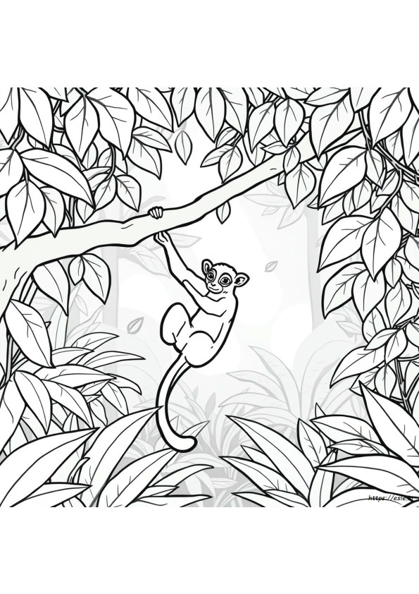 Kinkajou Da Colorare
