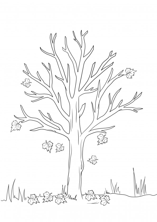 Unser Herbstbaum-Malblatt kann kostenlos gedruckt und zum Unterrichten über Jahreszeiten verwendet werden