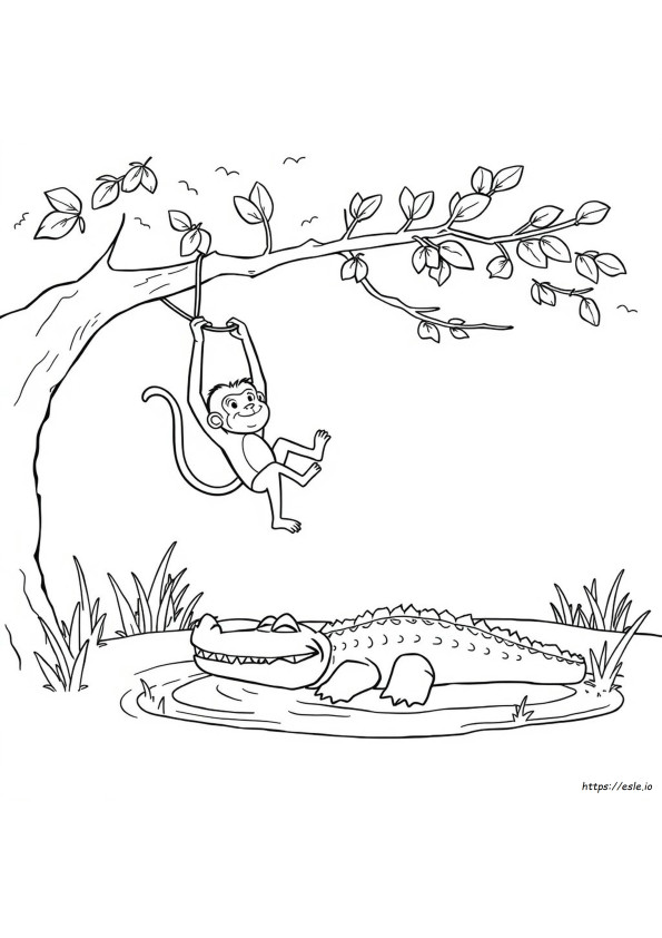 Gambar Mewarnai Monyet Dan Buaya