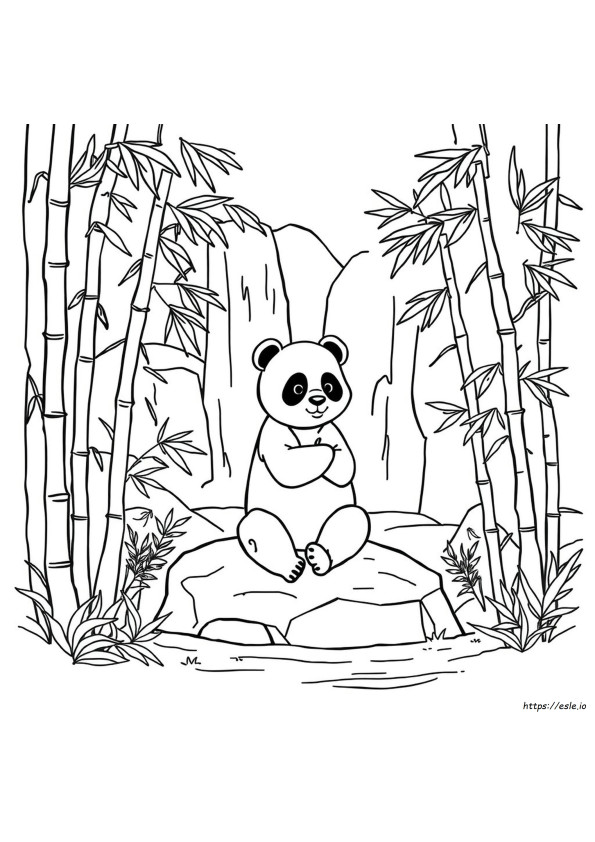 Panda Zeichnung Ausmalbild