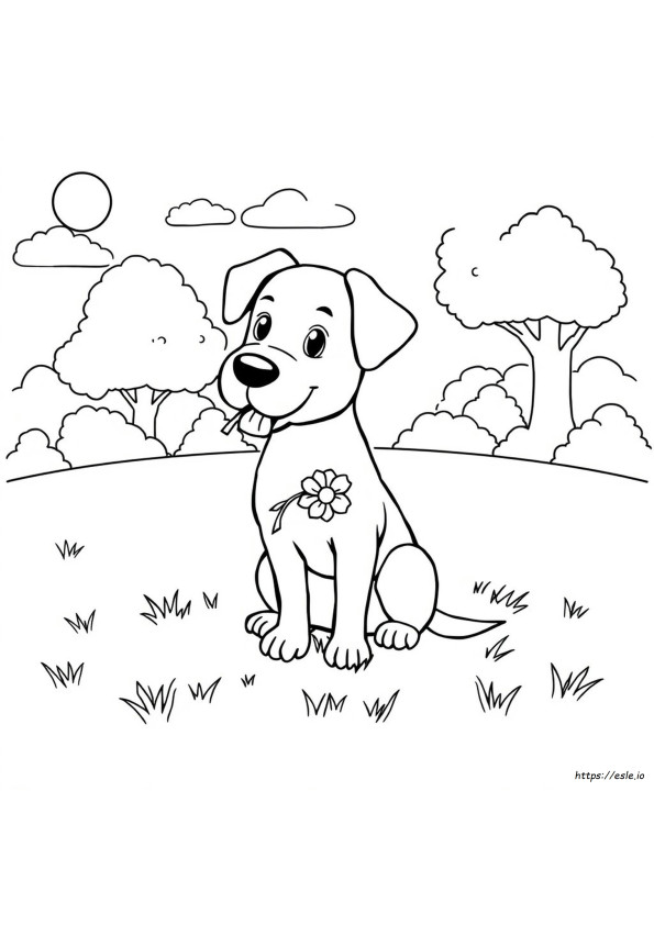 Kostenlose Ausmalbilder Zum Ausdrucken Von Hunden