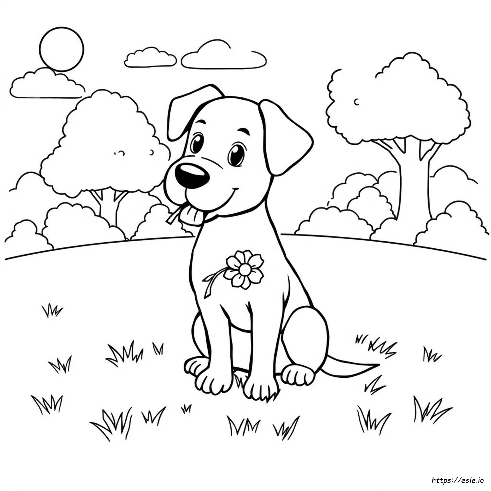 Disegni Di Cani Da Colorare Gratuiti E Stampabili