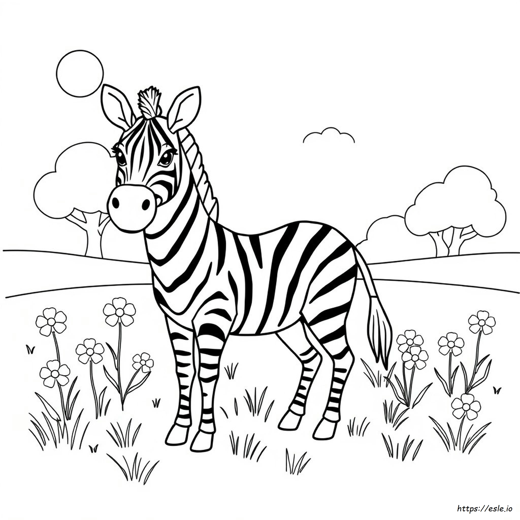 Preschool Zebra Coloring Page